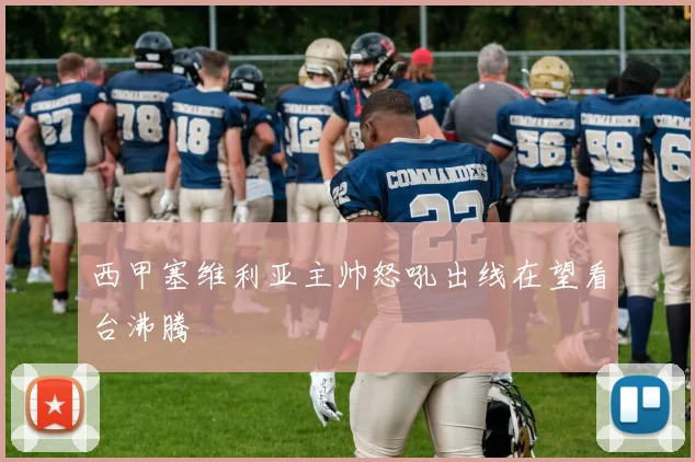 西甲塞维利亚主帅怒吼出线在望看台沸腾